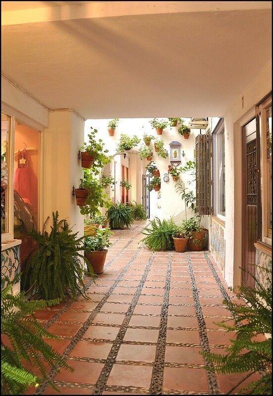 027c569567fa6b2c1c1890d91da45cae